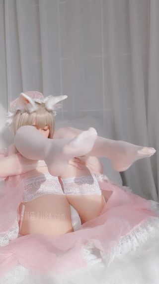 汪汪队免费看40集